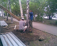 В Челябинске к живым березам приколотили забор