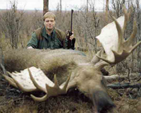 Охота на лосей в Челябинской области все еще под запретом